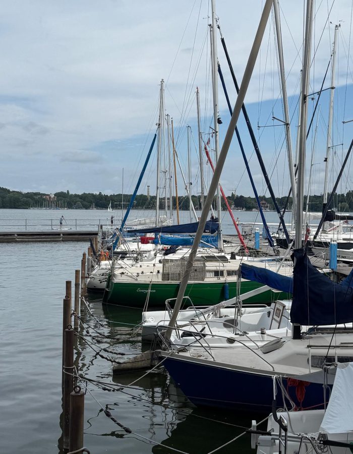 WhatsApp Image 2025-08-23 at 16.49.49 (6)