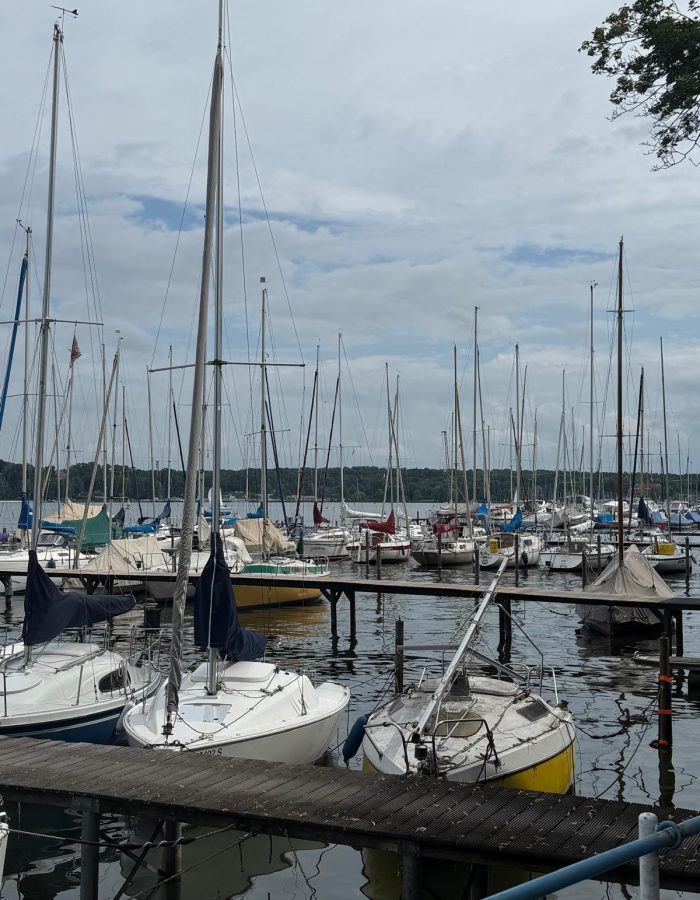 WhatsApp Image 2025-08-23 at 16.49.49 (7)